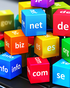 Domain Name Registrations