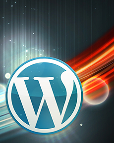 Wordpress Website Packages