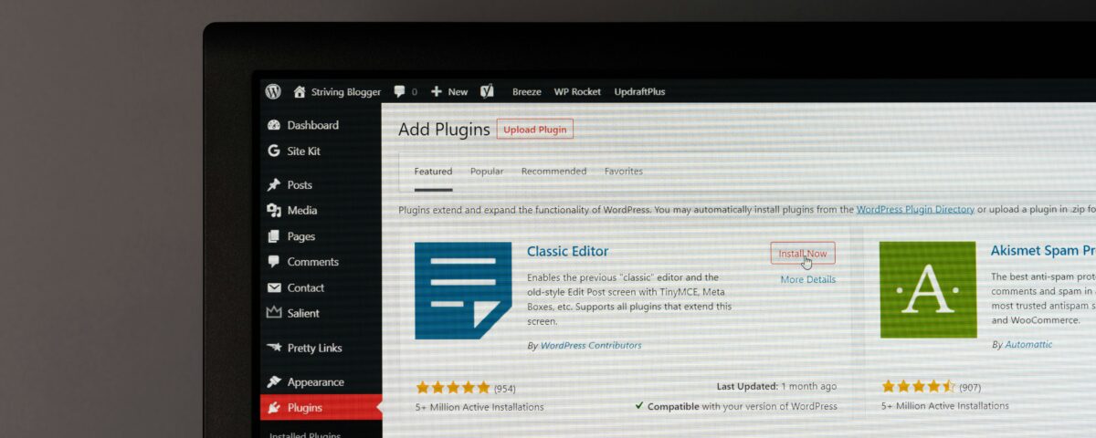 WordPress Success Awaits