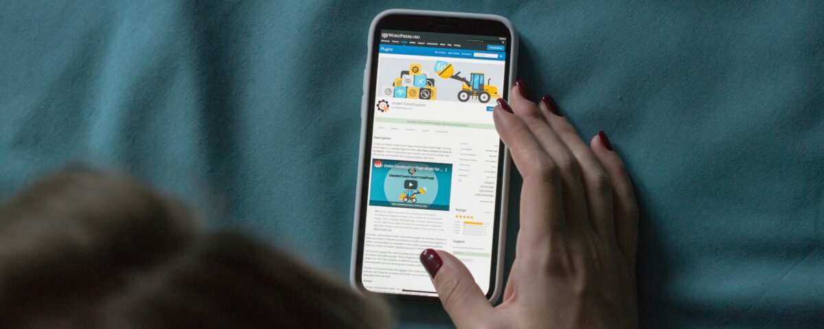 WordPress Success Awaits