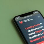 WordPress Website Excellence