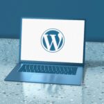 WordPress Success Redefined