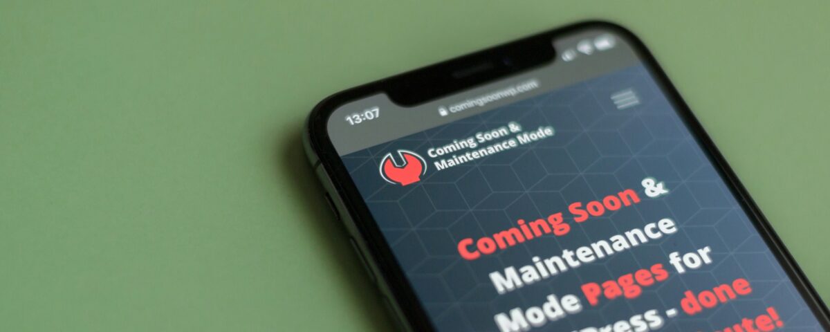 WordPress Website Excellence