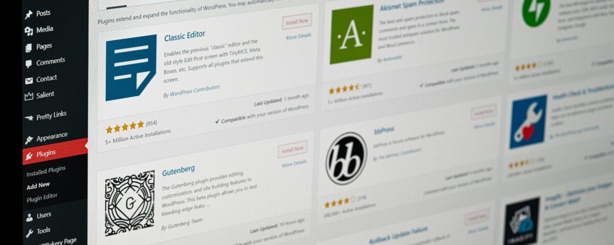 WordPress Excellence Unleashed